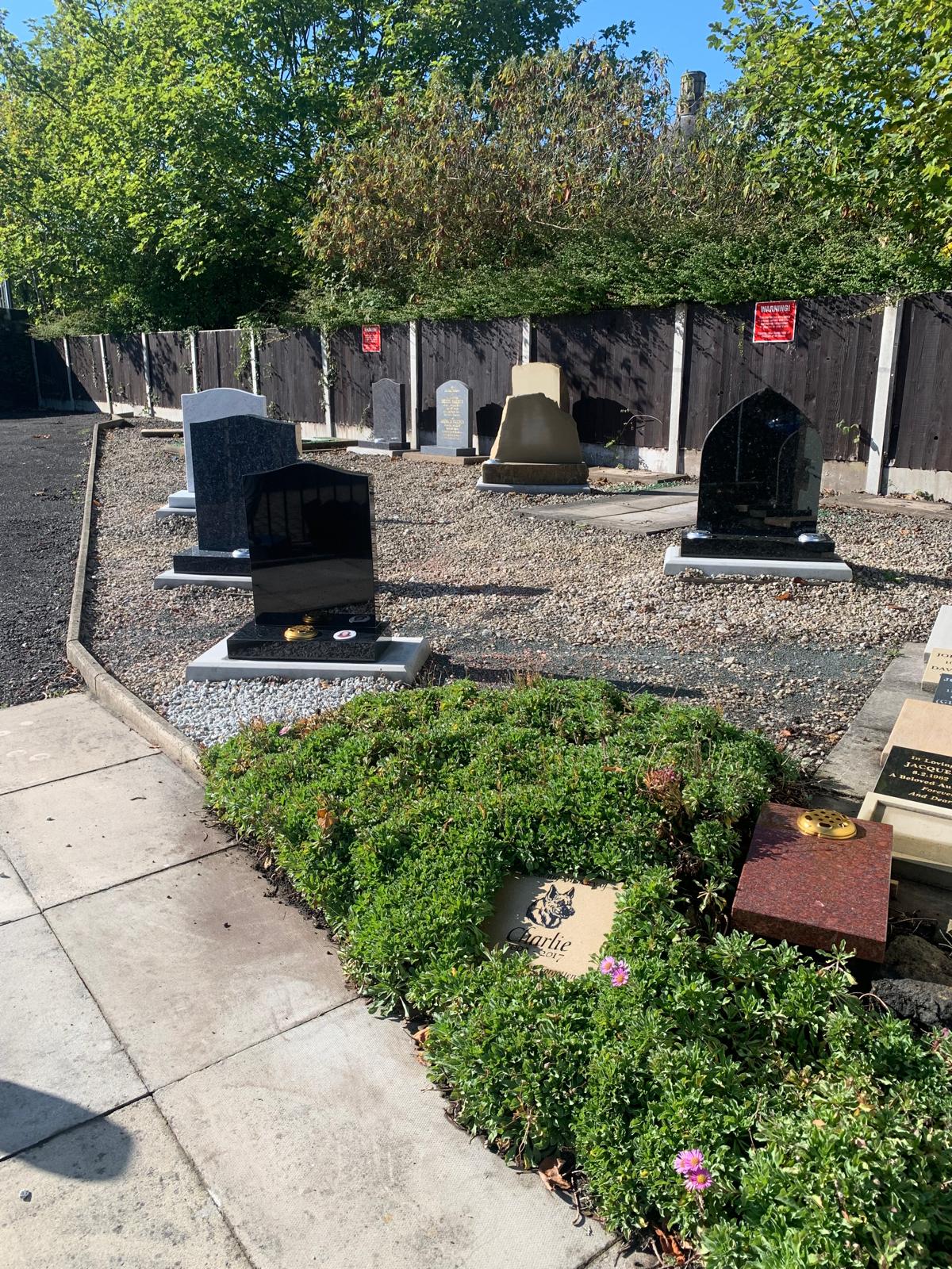 C P Holland and Sons Photo